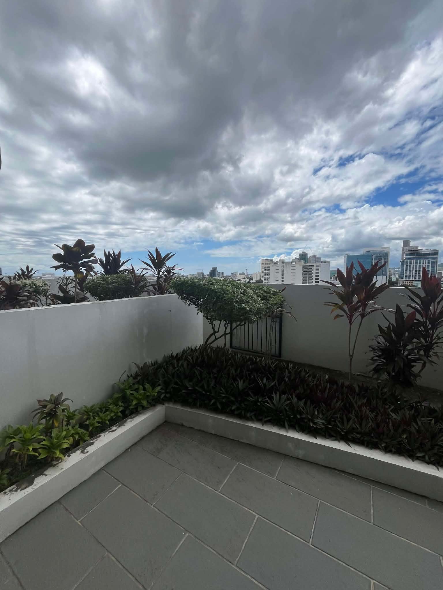 Calyx Residences Unit 9D — Private garden / lanai — view 2