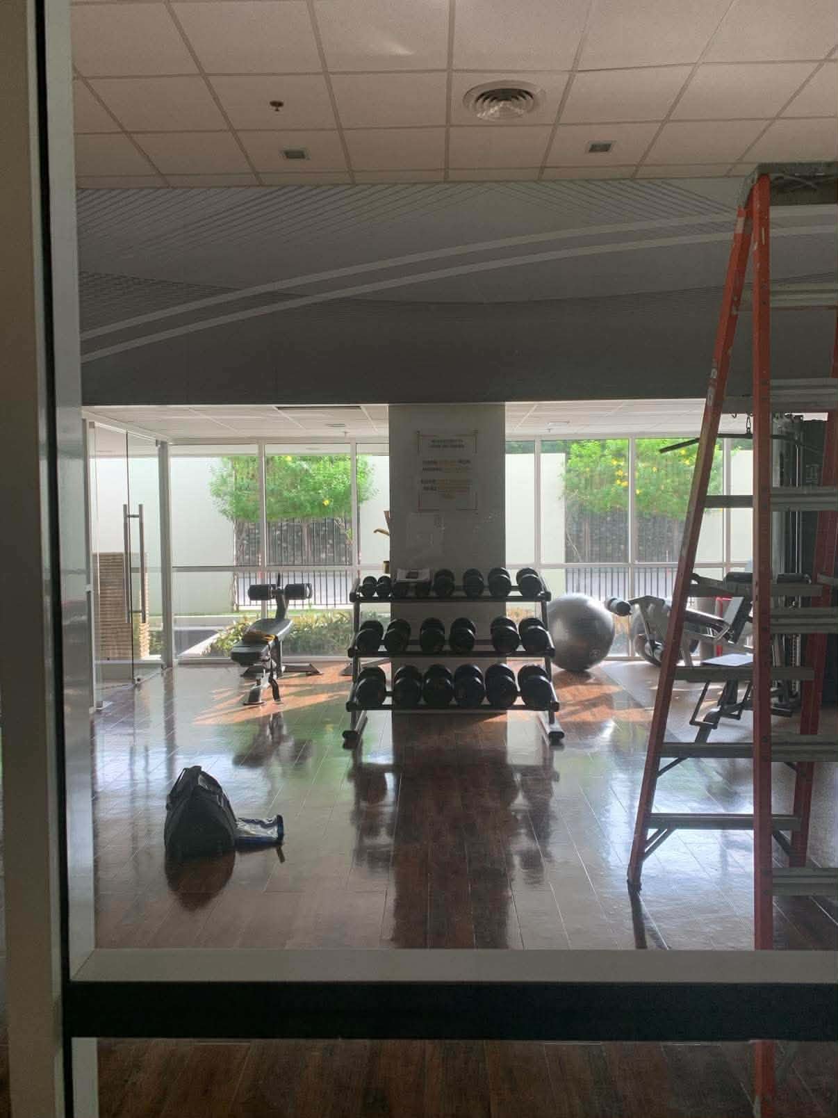 Calyx Residences Unit 9D — Interior-to-garden connection — view 9