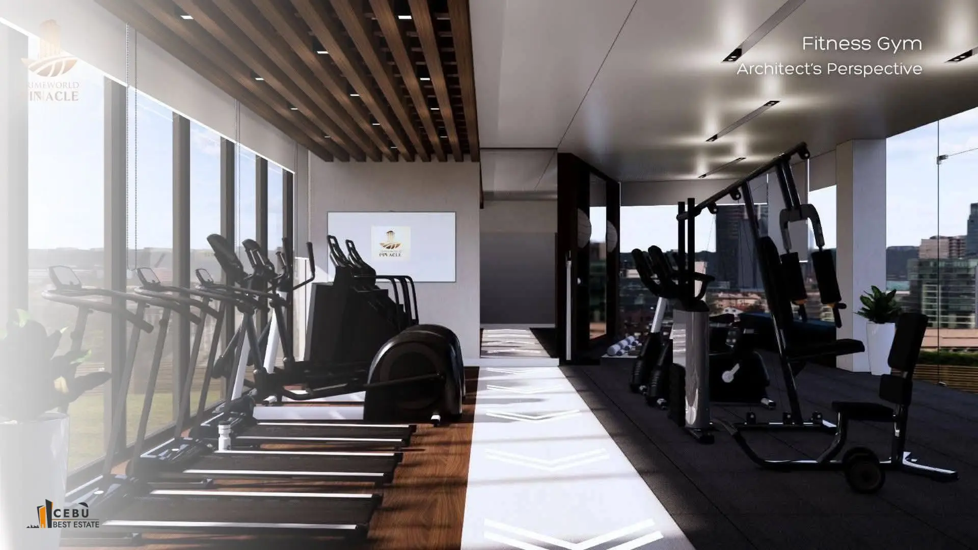 Primeworld Pinnacle project perspective